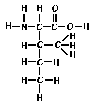  Amino Acid Isoleucine