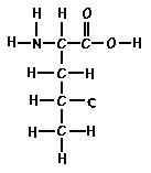 Amino Acid Leucine