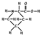 Amino Acid Proline