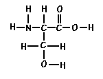 Amino Acid Serine