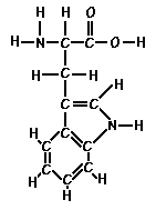 Amino Acid Tryptophan