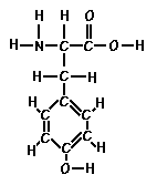 Amino Acid Tyrosine