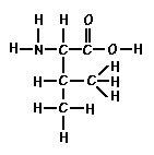Amino Acid Valine