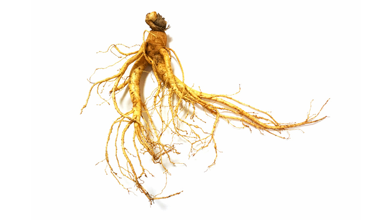 Ginseng root on white