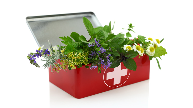 first aid box full of greens and flowering herbs
