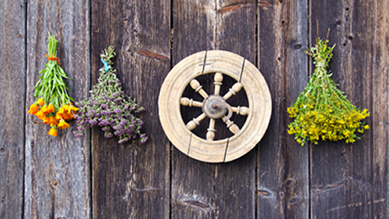 hanging dried herbs with wooden wheel on wood planks