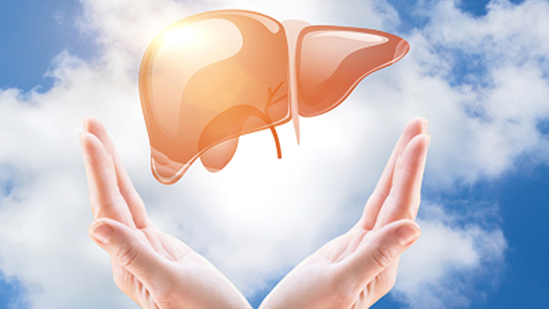 human liver against sky with hands under