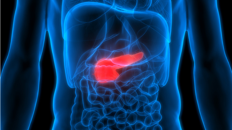 anatomy of red pancreas on blue figure