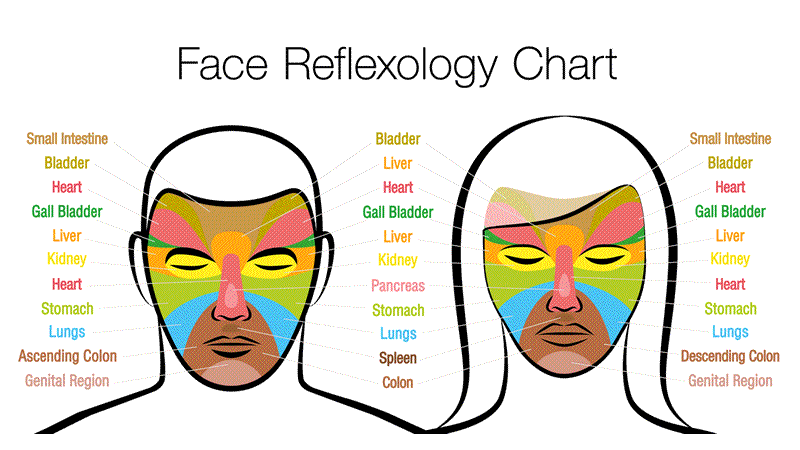Chart of Face Reflexology