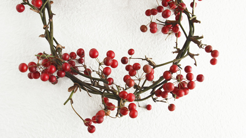red Sarsaparilla berries on brown branches