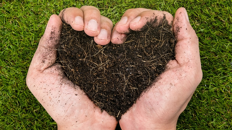 Two Hands Carrying Soil in Heart Shape