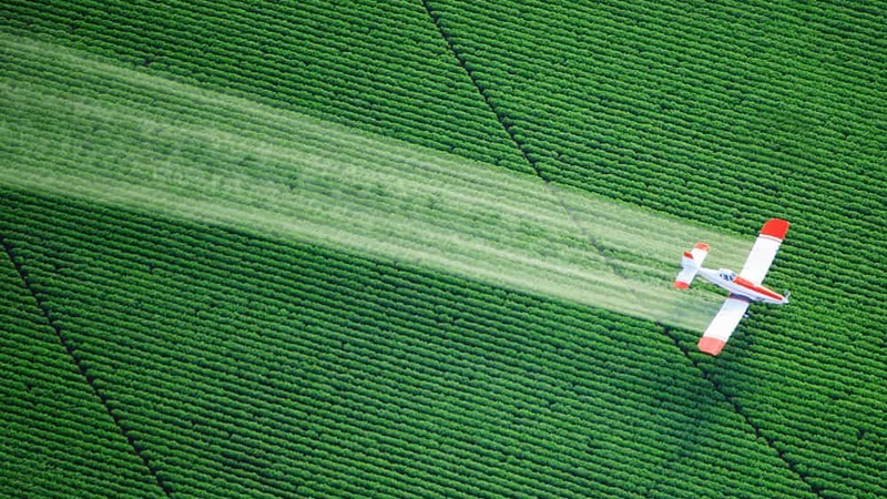 top view airplane spraying green crop
