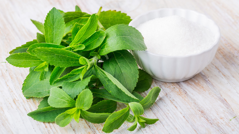 green leaves beside white bowl of white granules stevia