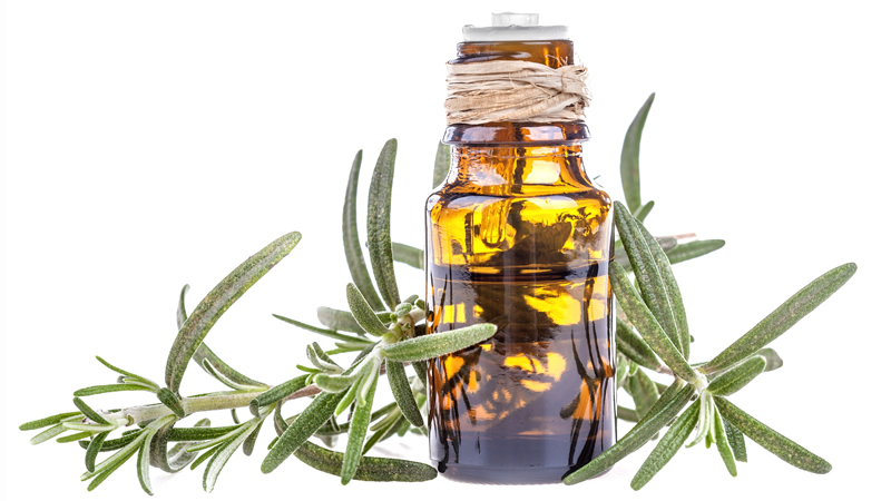 close up dropper bottle essential oil with Rosemary leaves