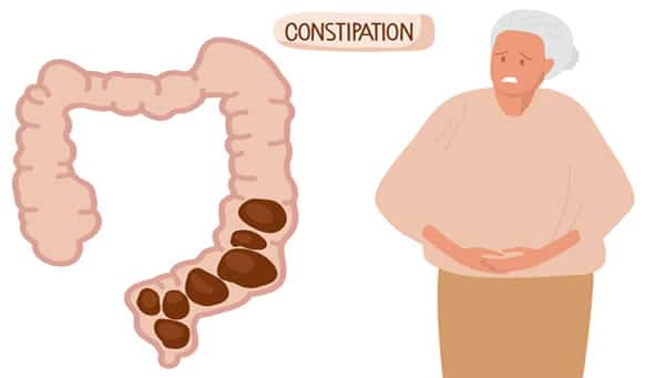 Digestive System and Your Health