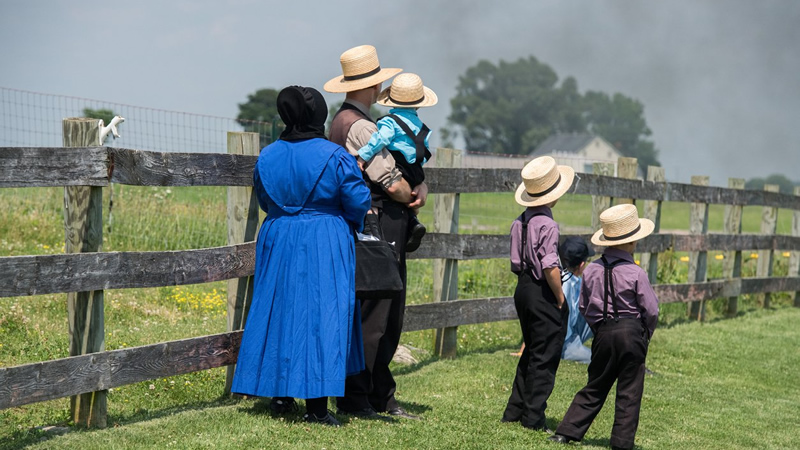 Amish family stading in field by wood rail fence looking away