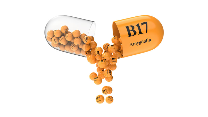 Capsule of Vitamin B17 Amygdalin