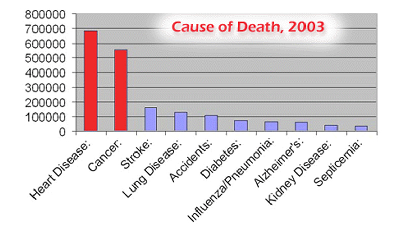 chart Cause of Death, 2003