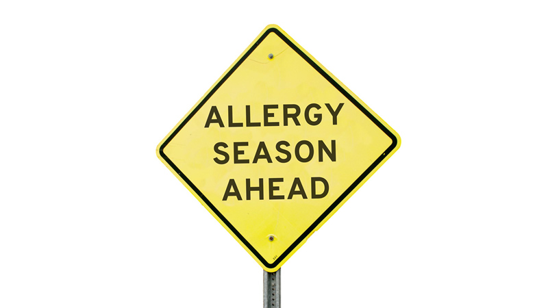 yellow caution road sign Allergy Season Ahead