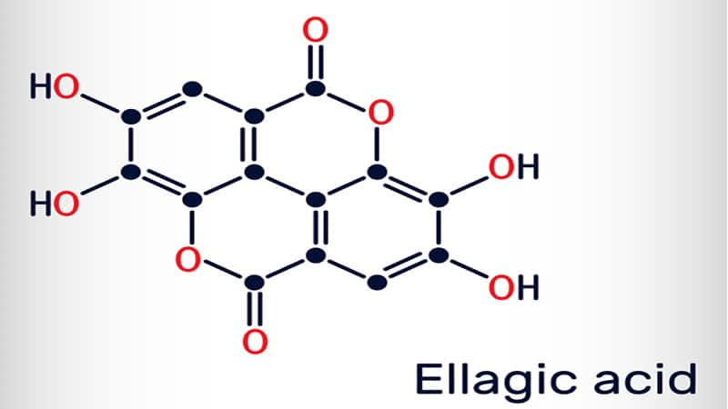 Ellagic Acid molecules