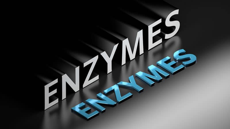 Three Dimensional Sign Enzymes