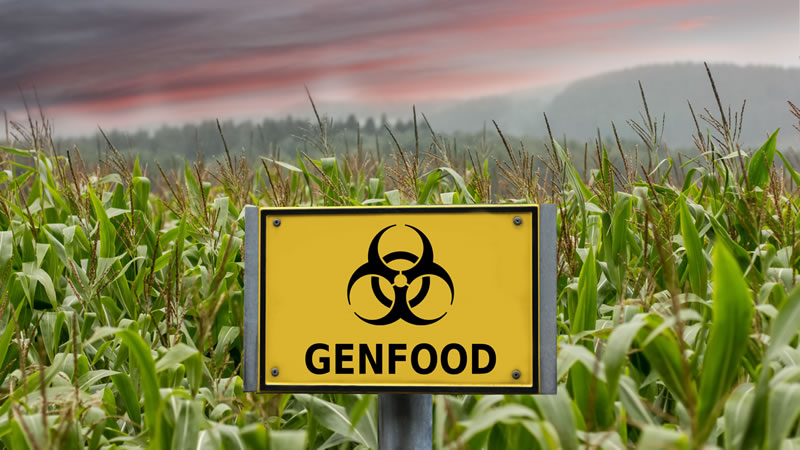 Stop Genetically Modified Foods