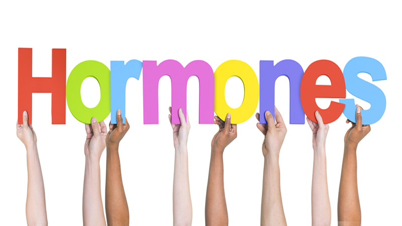colourful letters spelling Hormones held up by hands