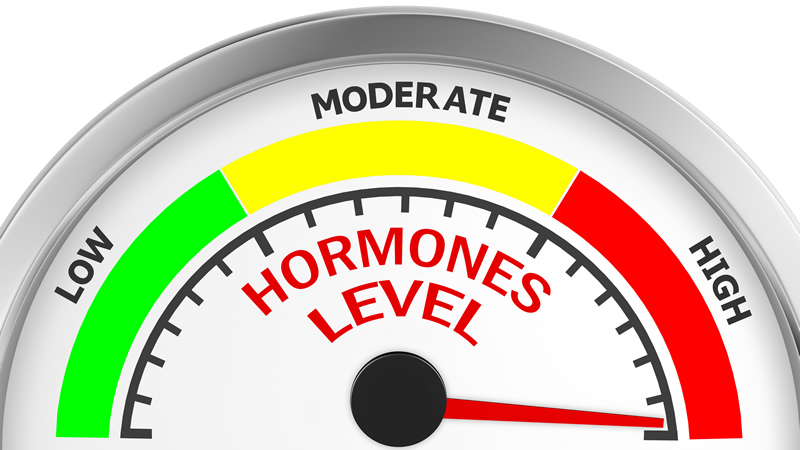 Hormones Level gauge, Low, Moderate and High