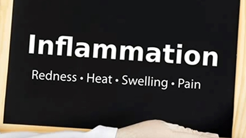 words Inflammation, Redness, Heat, Swelling, Pain