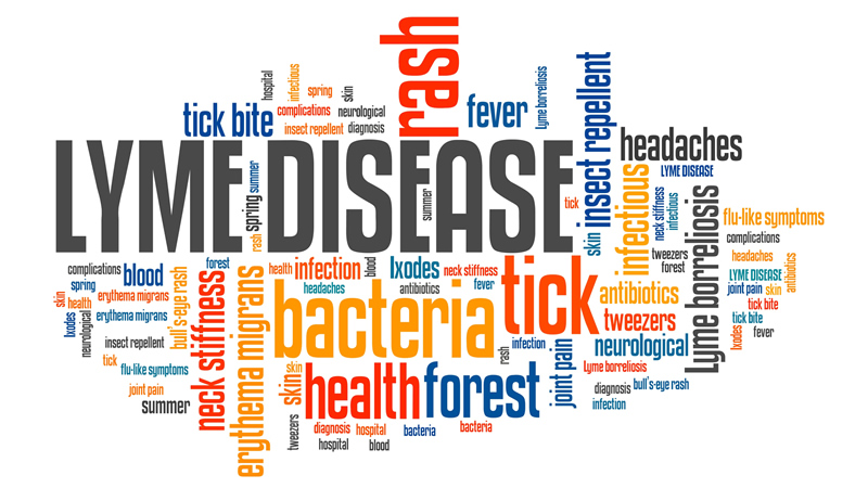 words describing Lyme Disease, tick bite, rash, fever, bacteria