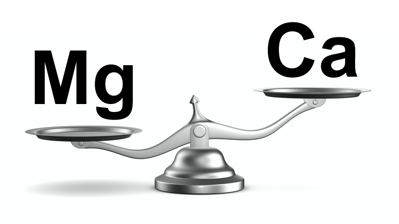 weigh scale showing imbalance between Mg and Ca