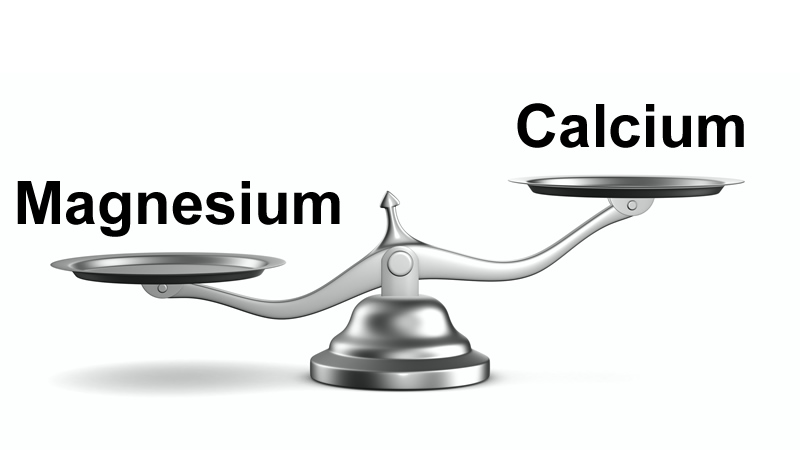 weigh scale showing balance between Magnesium and Calcium