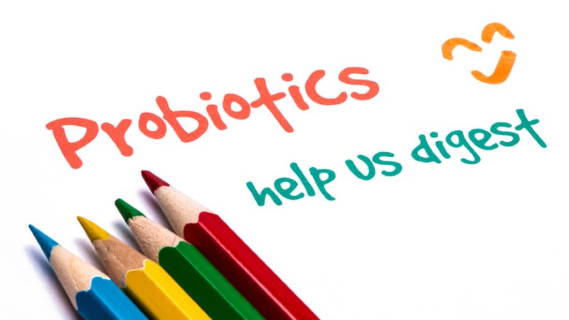 colorful pencil crayons on paper saying Probiotics help us digest