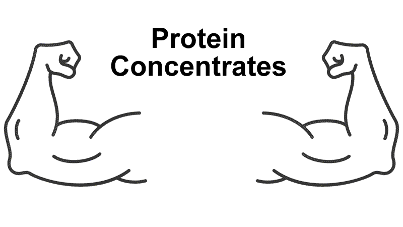 Protein Concentrates build muscle