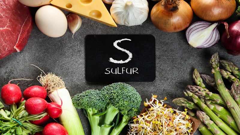 Sulfur Foods