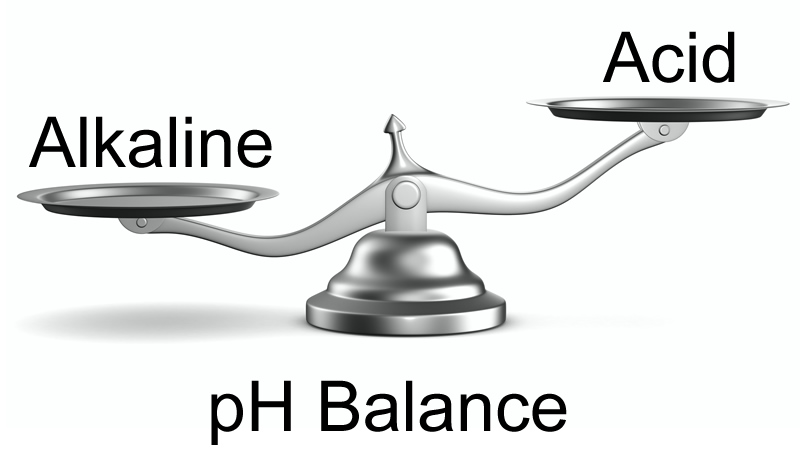 weigh scale showing pH Balance between Alkaline and Acid