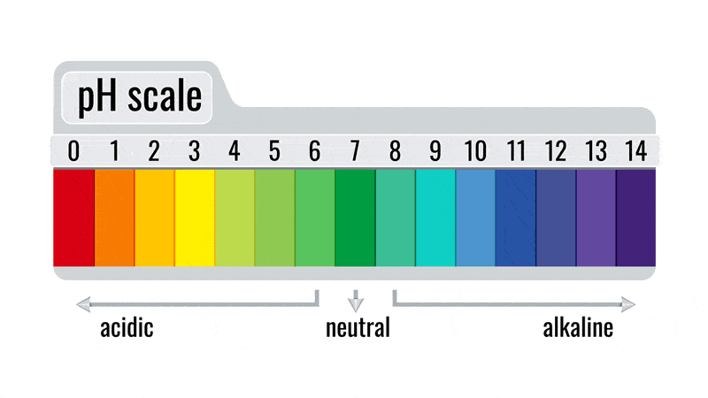 pH Scale (horizontal)