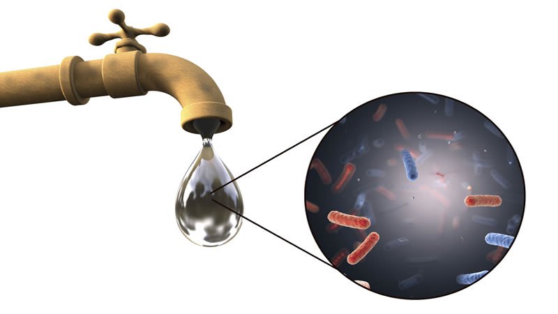 Organisms in drop of water coming out of a tap