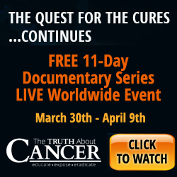 quest for cancer cure