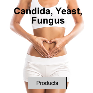 Candida, Yeast, Fungus
