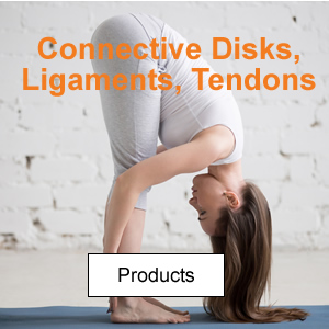 Connective Disks, Ligaments, Tendons