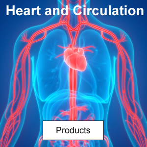 Heart and Circulation