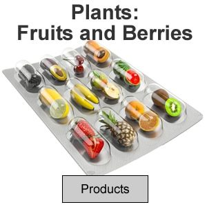 Plants: Fruits and Berries