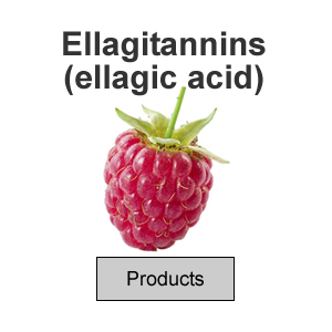 Ellagitannins (ellagic acid)