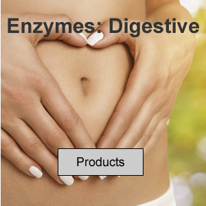 Enzymes: Digestive
