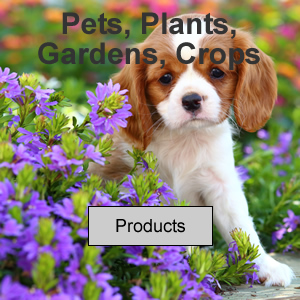 Pets, Plants, Gardens, Crops
